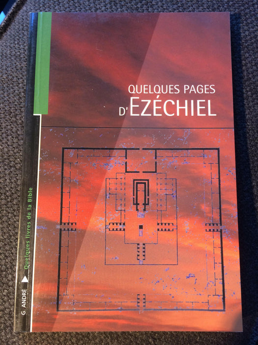 Quelques pages d'Ezéchiel