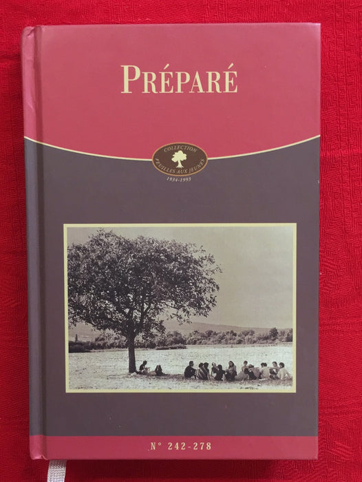 Préparé - numéro 242 - 278