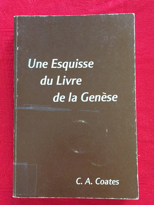 Une esquisse du livre de la Genèse