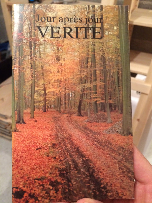 Occasion - Jour après jour vérité