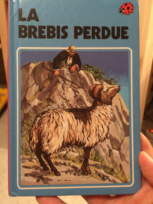 La brebis perdue
