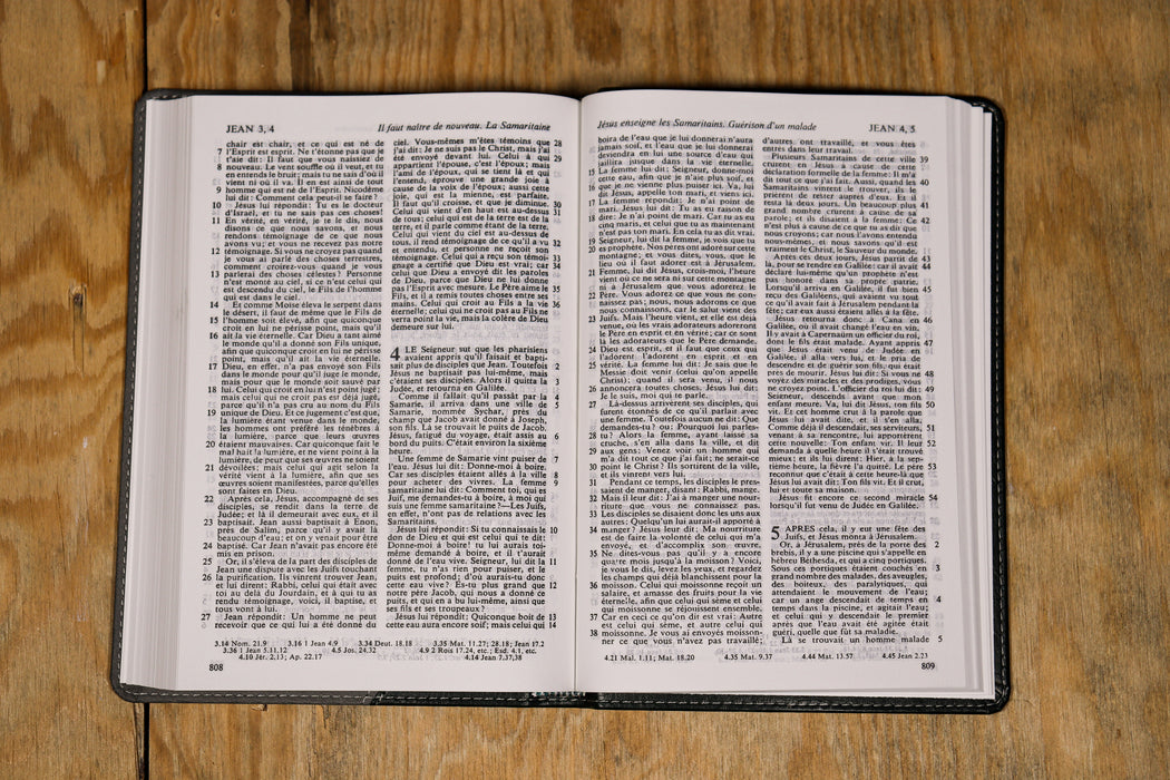 Bible Esaïe 55 Verte grise souple 317