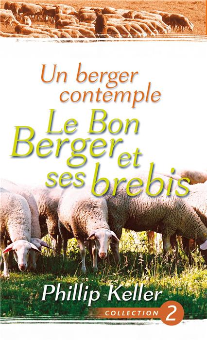 Un berger contemple le Bon Berger et ses brebis
