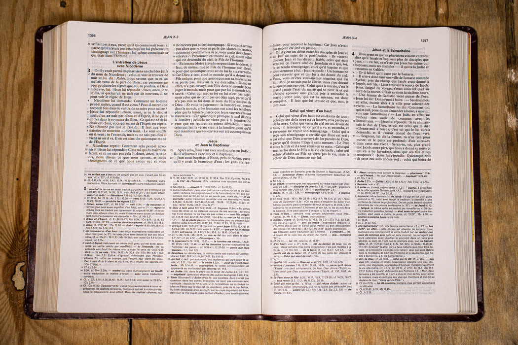 Bible d'étude NBS Bordeaux souple Tranche dorée avec étui