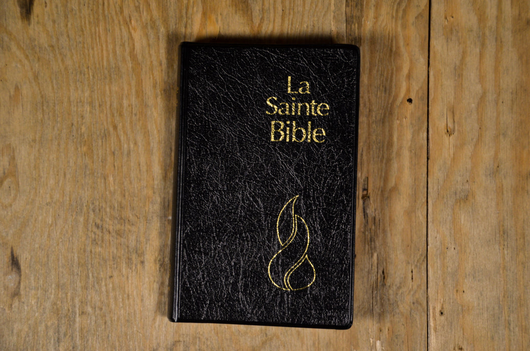 Bible NEG compacte Noire souple