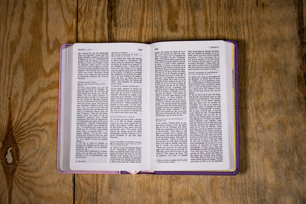 Bible compacte Segond NEG Vivella rose / violet de Société biblique de  Genève - Poche - Livre - Decitre