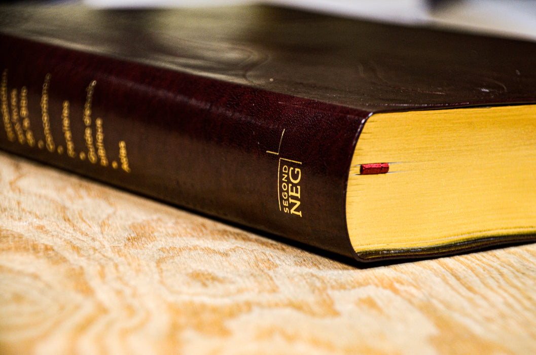 Bible d'étude NEG avec parallèles Bordeaux souple Tranche dorée avec onglets