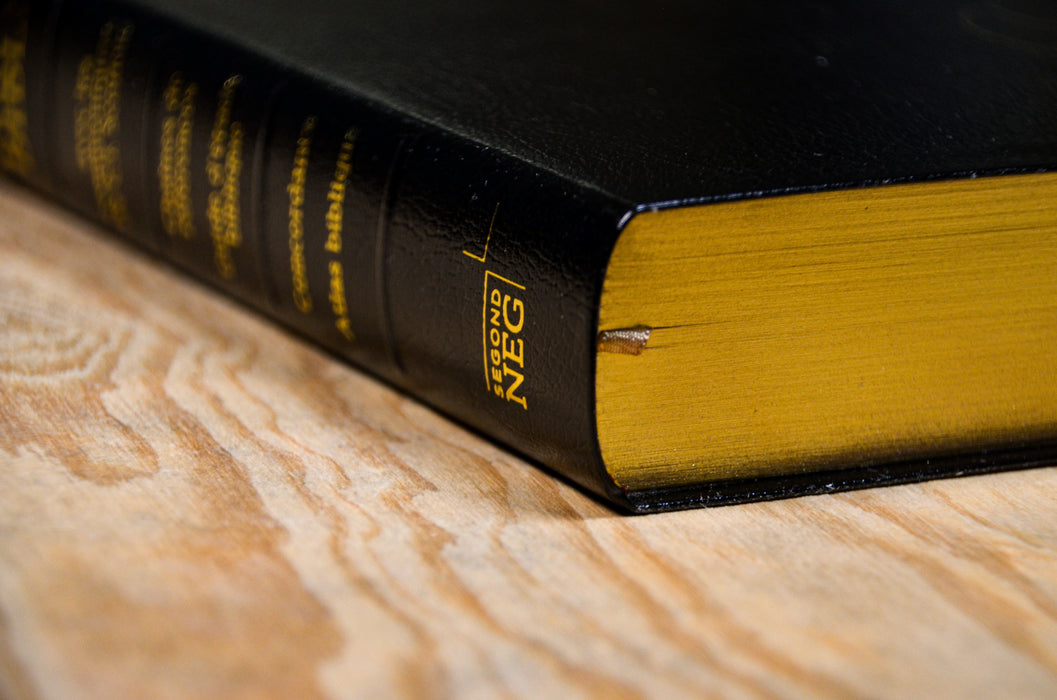 Bible d'étude NEG Scofield Noire souple Tranche dorée avec onglets
