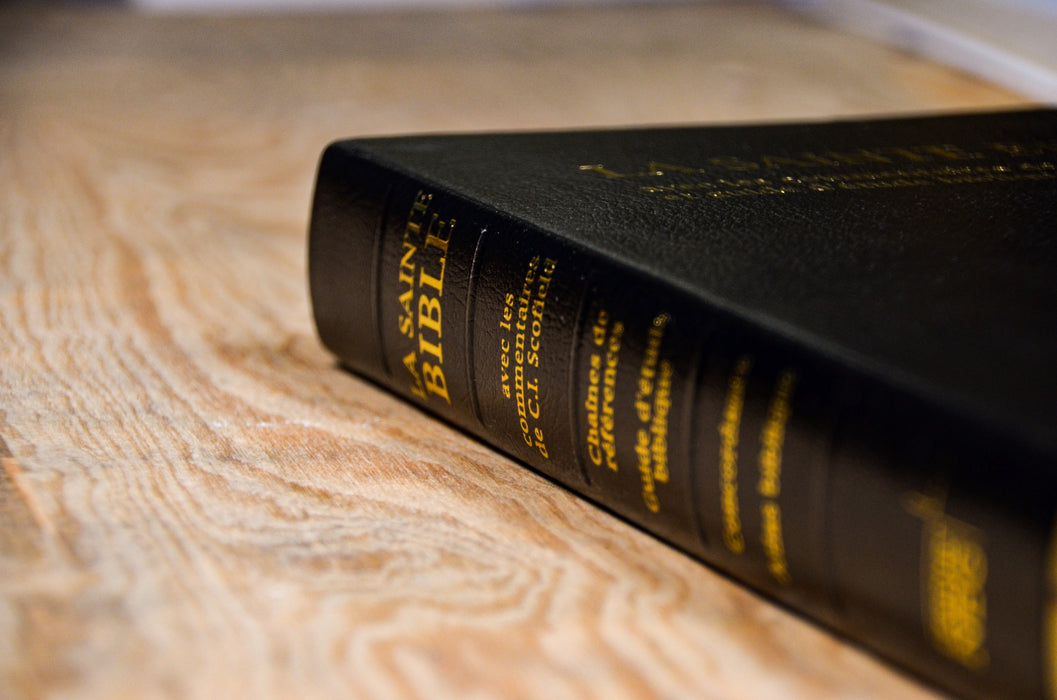 Bible d'étude NEG Scofield Noire souple Tranche dorée avec onglets