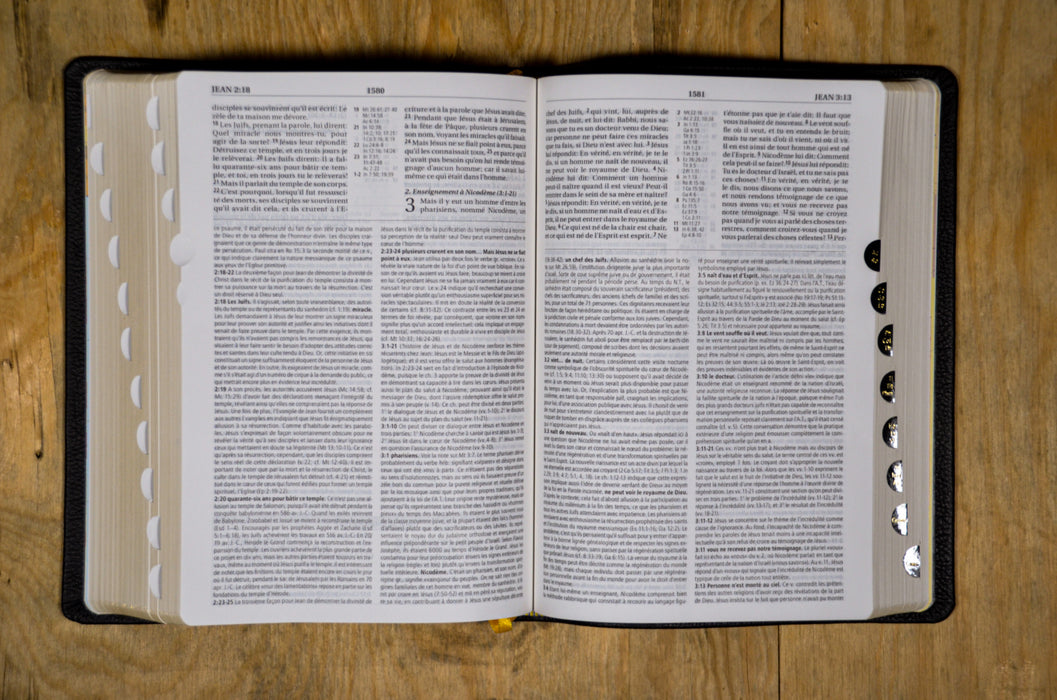 Bible d'étude NEG MacArthur Noire cuir souple Tranche dorée avec onglets et boîtier