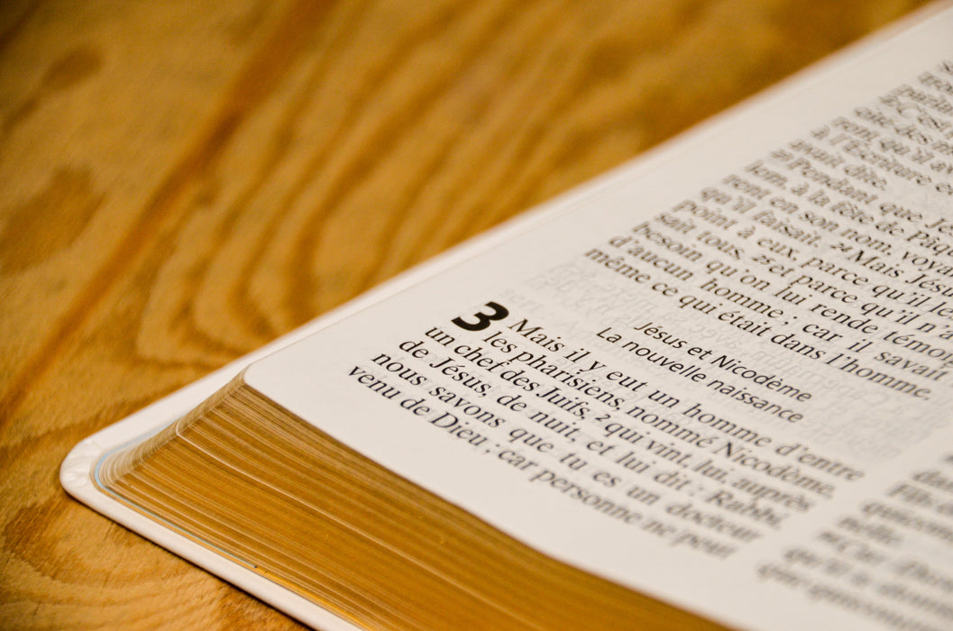 Bible NEG gros caractères Blanche souple Tranche dorée — BLFStore
