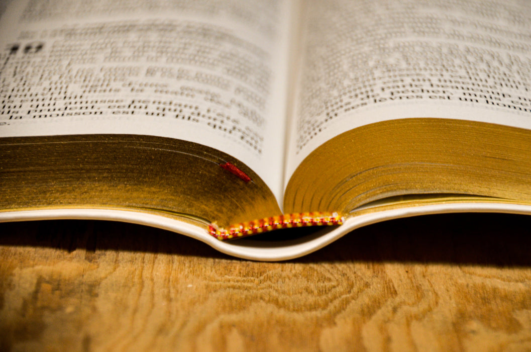 Bible NEG gros caractères Blanche souple Tranche dorée — BLFStore