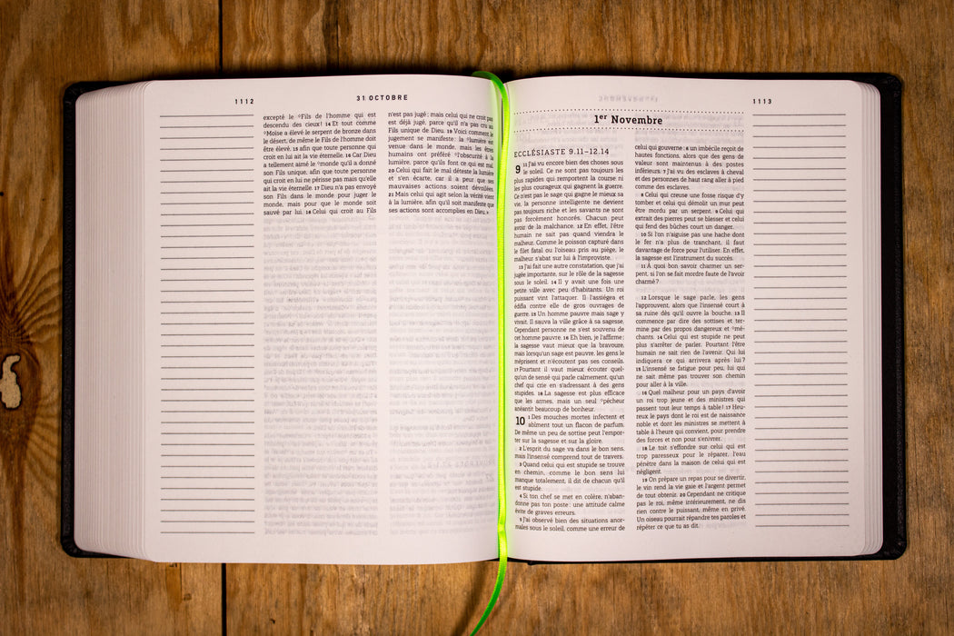 La Bible en 1 an Nouvelle Français Courant Noire souple