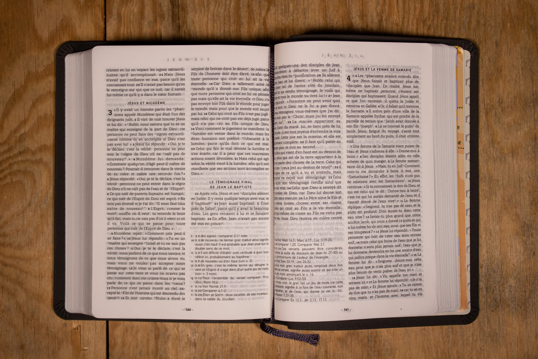 Bible NFC (Nouvelle Français Courant) luxe