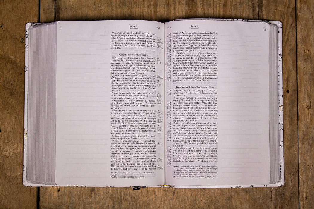 Bible Segond 21 Journal de bord avec grandes marges Vivella Blanche avec motifs