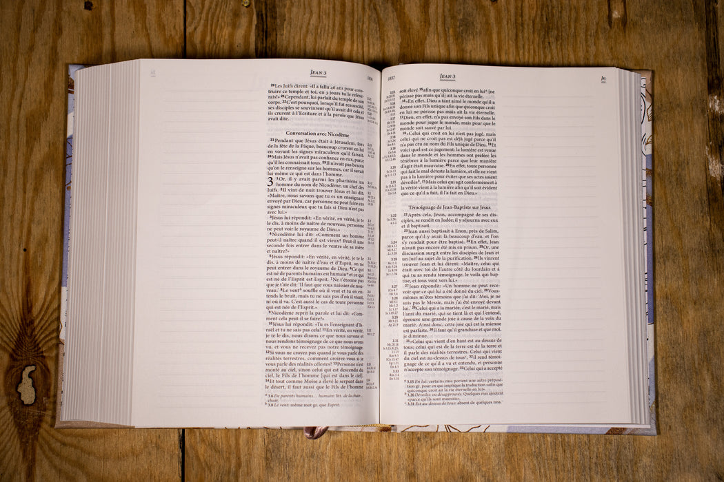 Bible Segond 21 Journal de bord avec grandes marges Crème bleu toile imprimée avec motifs feuilles