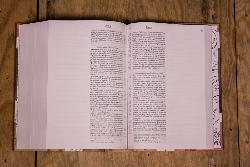 Bible Segond 21 Journal de bord avec grandes marges Crème marron toile imprimée avec motifs feuilles