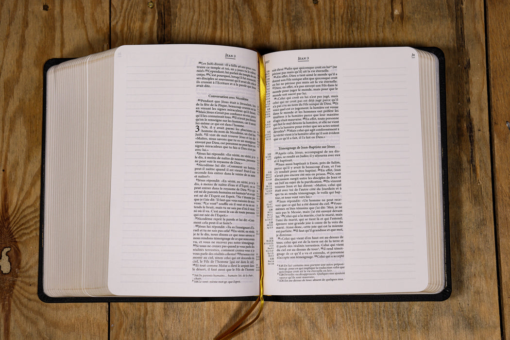 Bible Segond 21 Journal de bord avec grandes marges Noire cuir souple