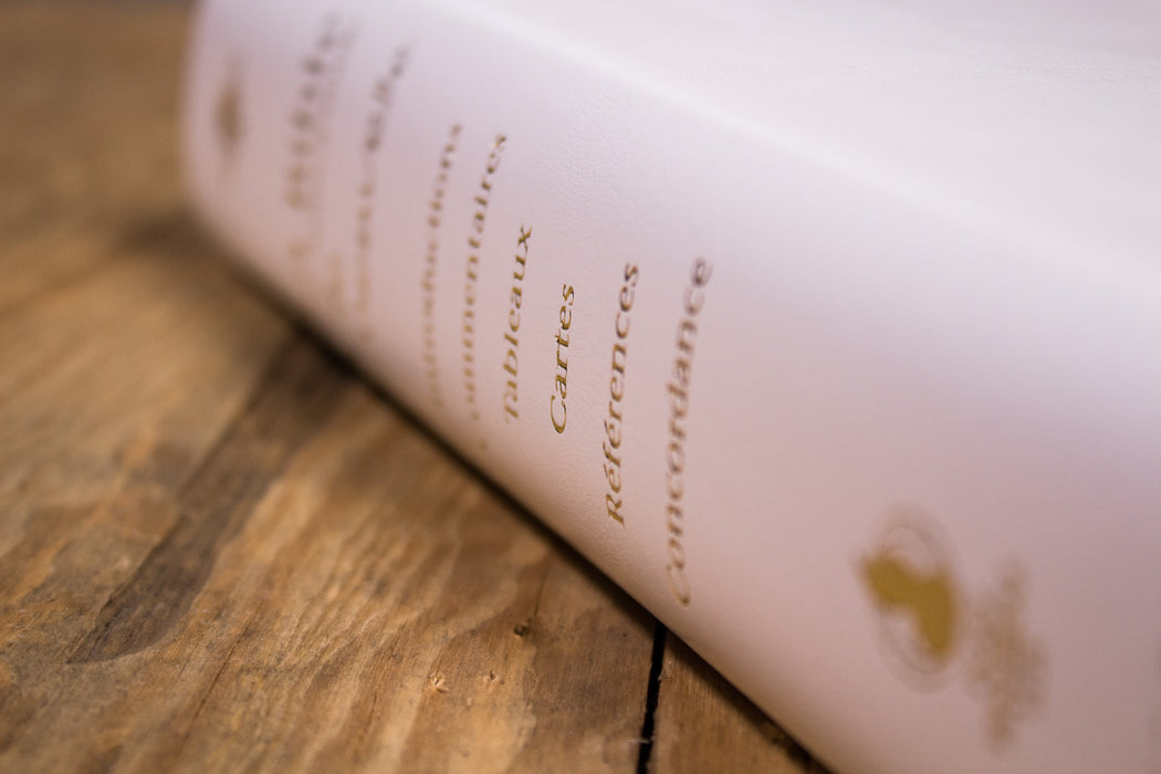 Bible d'étude Vie Nouvelle Segond 21 couverture souple blanche Tranche ...