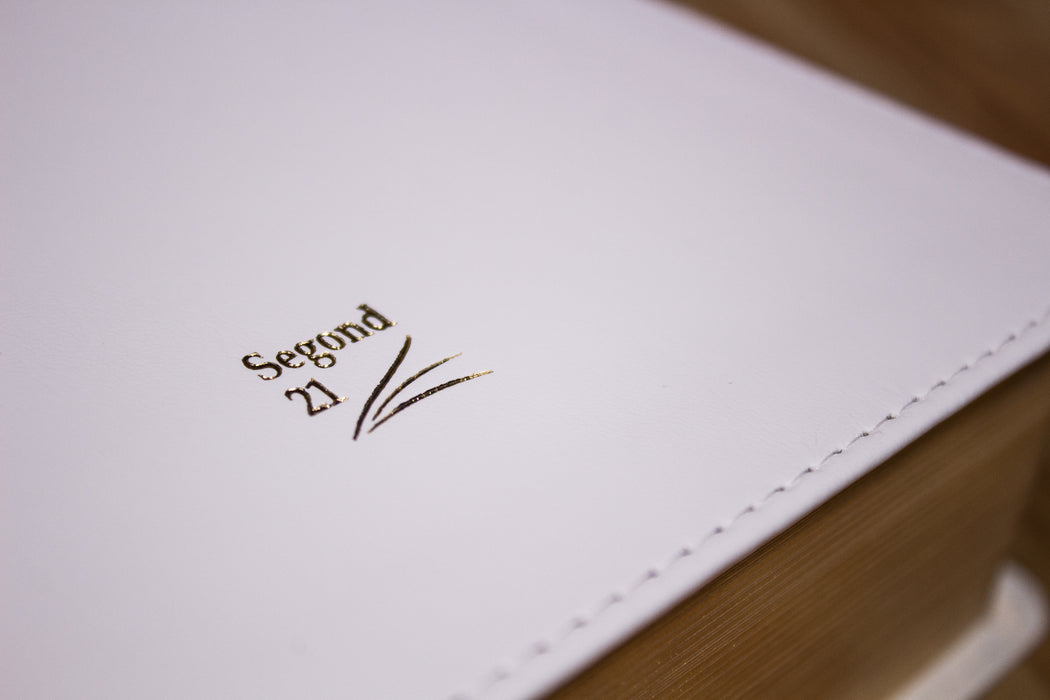 Bible d'étude Vie Nouvelle Segond 21 couverture souple blanche Tranche ...