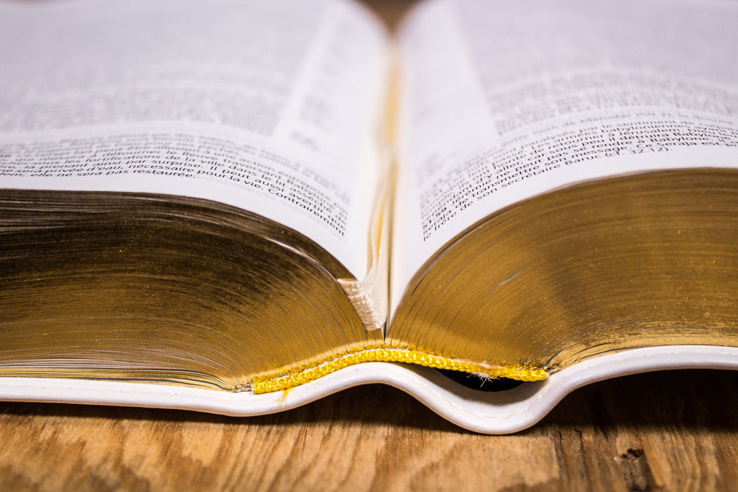 Bible d'étude Vie Nouvelle Segond 21 couverture souple blanche Tranche dorée