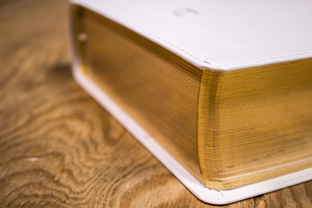 Bible d'étude Vie Nouvelle Segond 21 couverture souple blanche Tranche ...