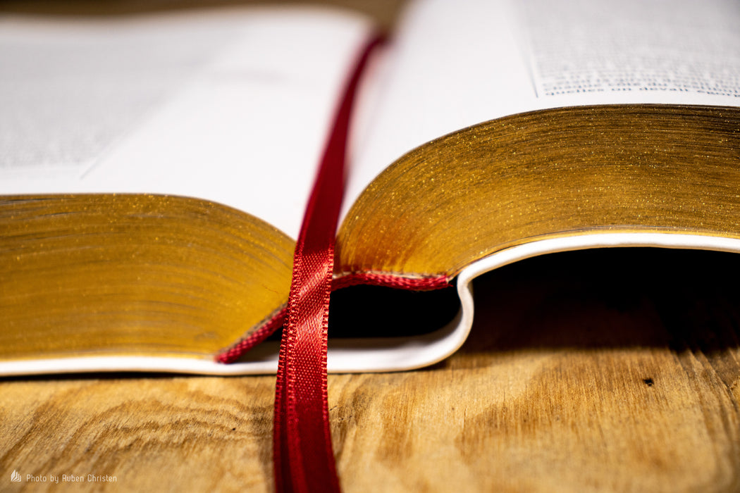 Bible d'étude Thompson Segond 21 Blanche souple Tranche dorée — BLFStore