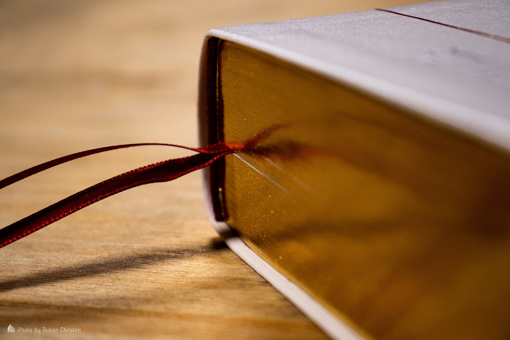 Bible d'étude Thompson Segond 21 Blanche souple Tranche dorée — BLFStore