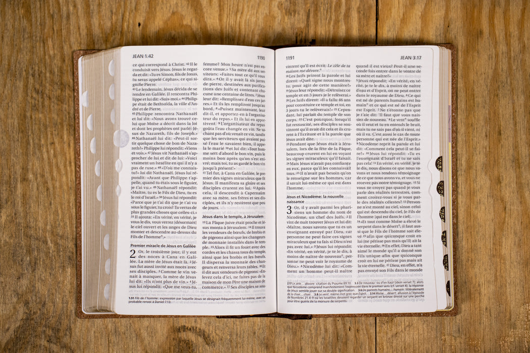 Bible Segond 21 compacte premium praliné-chocolat cuir semi-rigide Tranche dorée avec onglets