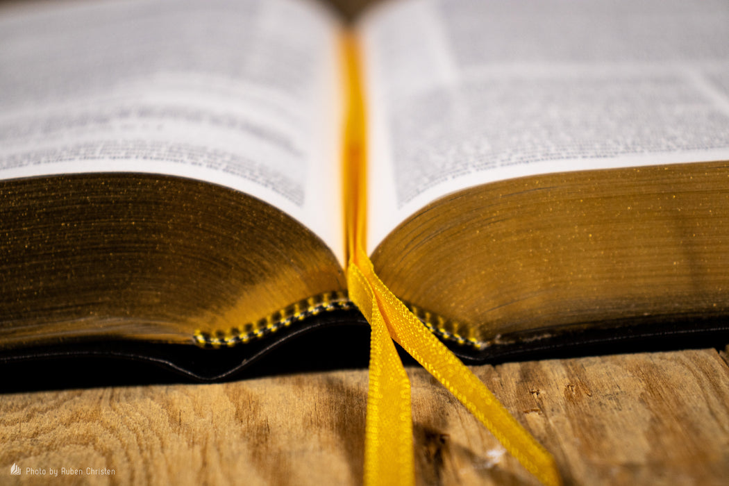 Bible d'étude Vie nouvelle Segond 21 Noire fibrocuir souple Tranche dorée avec boitier