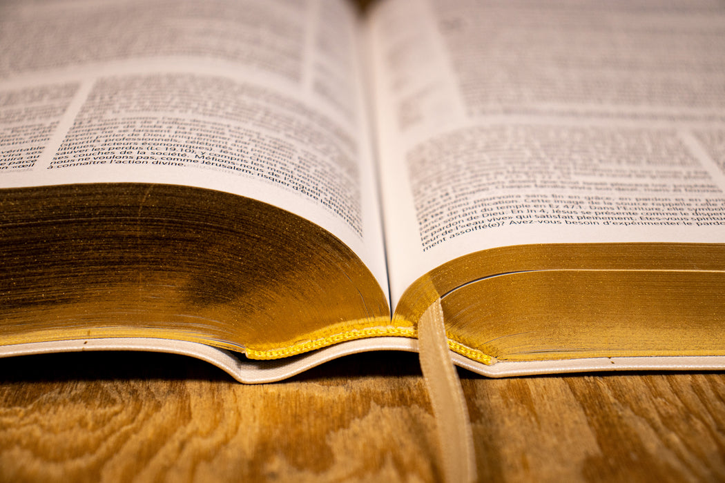 Bible d'étude Vie Nouvelle Segond 21 Toile blanche souple avec tranche dorée